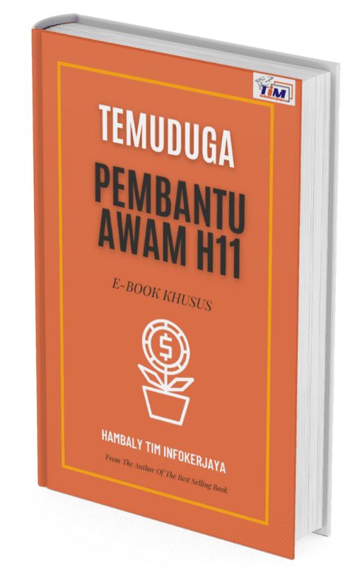 Pembantu Awam H11